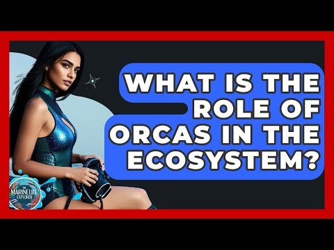 What Is The Role Of Orcas In The Ecosystem? - The Marine Life Explorer