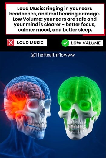 Loud Music VS Low Valume | What Happens Inside Your Body #facts #health #science