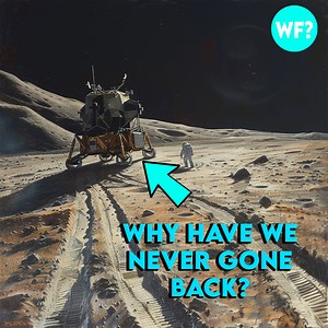 What Is Stopping Us From Going Back? | The Why Files