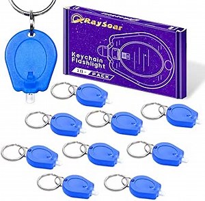 10 Pack Ultra Bright Mini LED Keychain Flashlight, Small Key Ring Flashlight, Portable LED Keychain Light for Outdoor Activities Emergency Light - Blue Shell