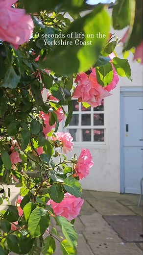 2.9K views · 79 reactions | 10 seconds of beautiful life ✨️ The most...