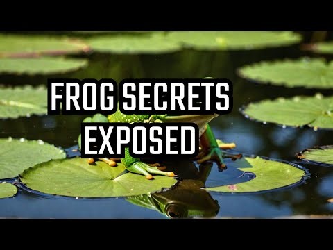 FROG Life Secrets Revealed!