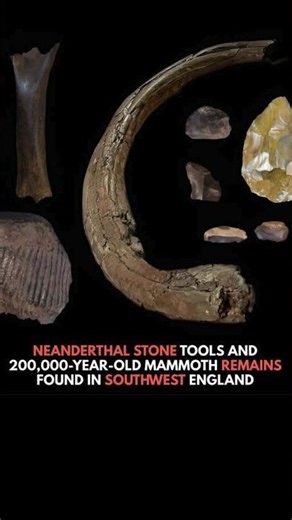 Stone tools, Neanderthals #archaeology #history #historical #ancient #archaeologymysteries #vintage