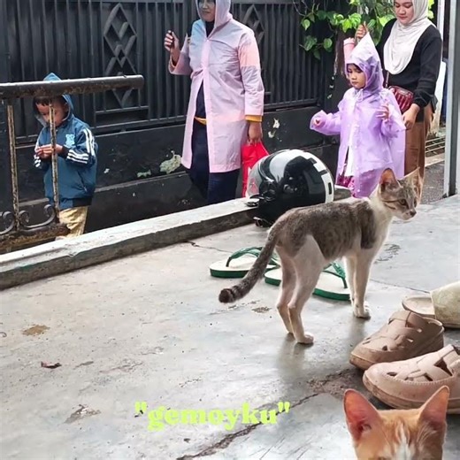 "SI EMOY... 😀😀😀210126