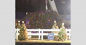 Strong winds topple National Christmas Tree outside White House