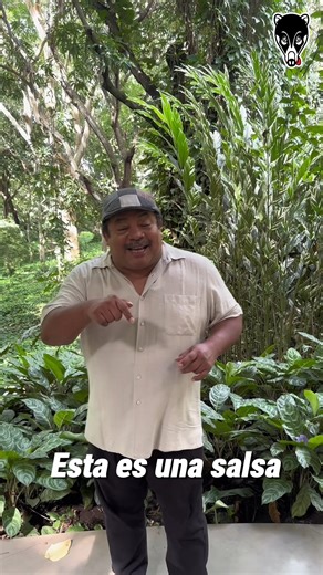 Salsa con alma, ritmo y sabor nica. 💃 Agregala a tu playlist y vivila con nosotros. | Nasua Narica Música