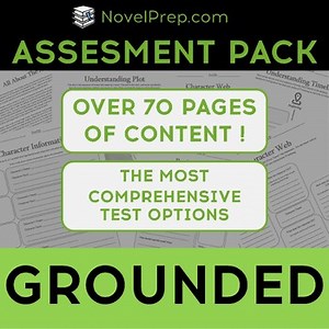 Grounded by Aisha Saeed et al Assessment Pack (Differentiated)