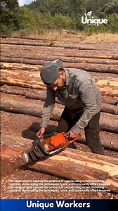 Cutting wood with a chainsaw: people cutting wood with a chainsaw
