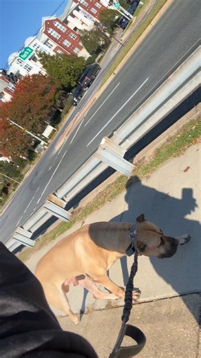 He wanted to wake up acting crazy this morning, that 2 piece spanked him this morning! Now go lay down chump! | John Gilbert