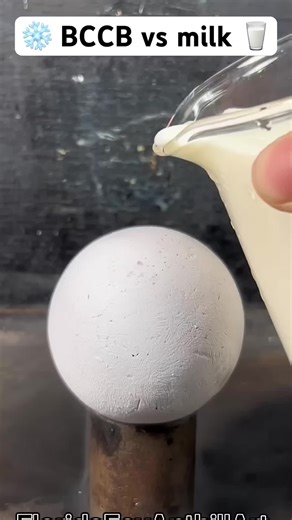 Exploring Milk and Liquid Nitrogen Experiments