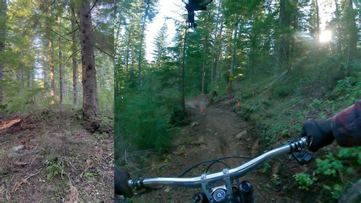 Bat Country Step-up Case