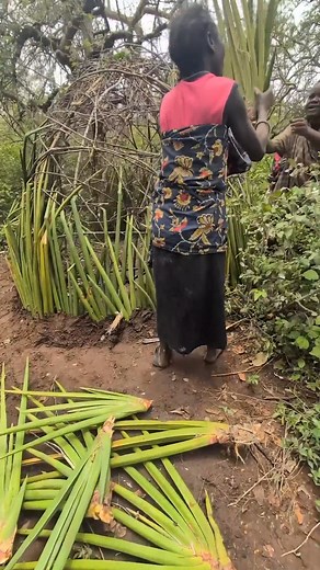 Hadzabe Tribe beautiful bush ladies show us how they build their traditional huts in the nature using natural materials they find | Beautiful Lovely Adventures