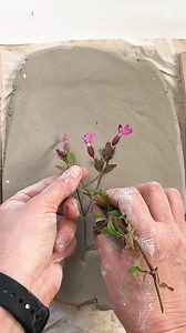 This cast is of red campion (Silene dioica), one of the earliest spring flowers and, here in Cornwall, something that can appear almost year-round. It’s familiar rather than rare, easy to overlook and structurally modest which makes it well suited to casting. The process slows me down and asks for a different kind of attention than printing. I am starting to see signs of spring around me now, the light shifts and my practice will change, I will become inspired by the abundance and once again wan