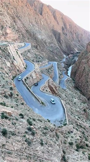 #creatorsearchinsights #ethiopiamoves💚💛❤ethopi