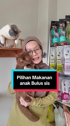 Pilihan Makanan Terbaik untuk Anak Bulus