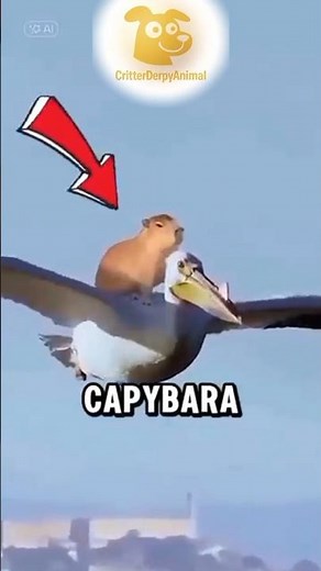 The Secret Behind Capybara Friendliness #facts #animalfacts #wildlife