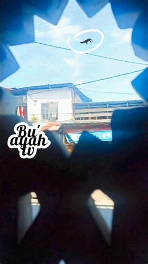 Liopleurodon #shorts #fyp #viral #liopleurodon