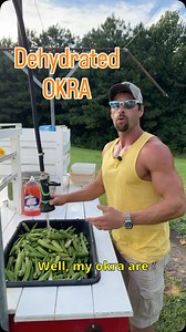 Comment “link” for my dehydrator or jar sealer links! I have ran a few batches of okra and find them to be a tasty, crunchy snack! No slimy texture at all. Just crispy! Give them a try!! #okra #homestead #dehydratedfood #dehydrated #growyourownfood #garden #preserve #foodstorage #snacks #healthysnack #healthysnackideas | Salmon Creek Living