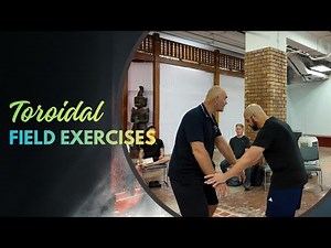 Toroidal field exercises