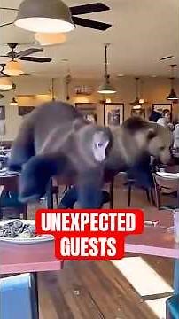 4 STRANGEST Animals That Invaded Restaurants