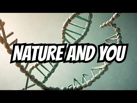 Epigenetics: How Behavior and Environment Influence Gene Function