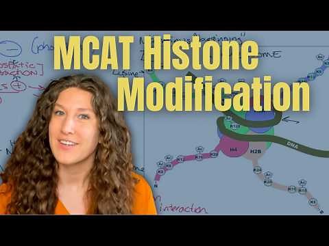 MCAT Biochemistry: Understanding Histone Modification for Test Day