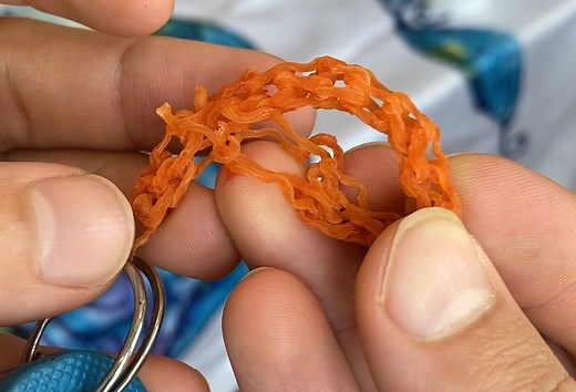 Algae String | Tech at Home