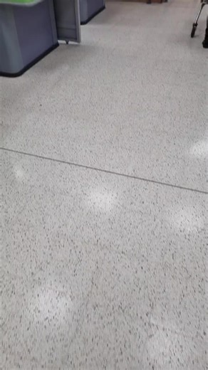 Tom Williams on TikTok