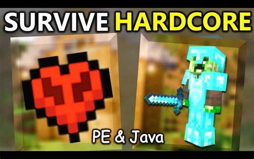 【中文配音】如何真正在《我的世界》极限模式中生存（终极指南） - TheAetherGamer