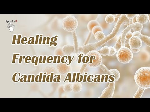 Candida Albicans Cleanse with Frequencies | Frequencies Healing & Detox | Gut & Immunity