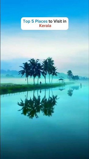Top 5 Must-Visit Places in Kerala 🌴 | God's Own Country 🇮🇳