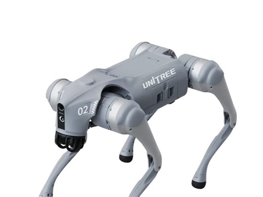 Research shows why dog robots powered by ChatGPT is not a good idea | Google announced breakthrough in Quantum computing (#4)