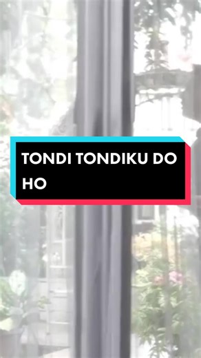 Lagu Batak Tondi Tondiku: Lirik dan Arti