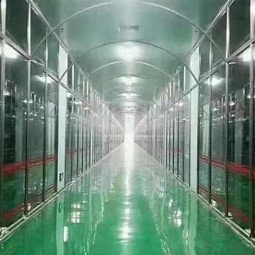 Mesh Dryer Continuous Drying Machine with High Capacity Fruit Leather Dehydrating