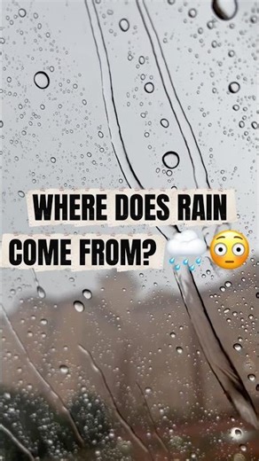 WHERE DOES RAIN COME FROM? 😳 #facts #kids #rain #weather