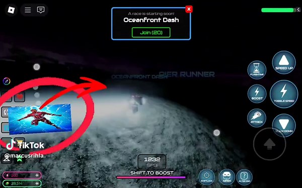 Chased by Time Wraith in Roblox: Flashpoint Adventure