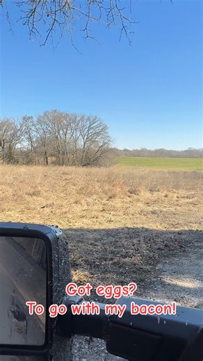 Today was piggier than yesterday! #fyp #rolandwhitt #hunting #countryboy #country #outdoors #singer #Hunter #songwriter #wildlife #hunting #nature #singersongwriter | Roland Whitt