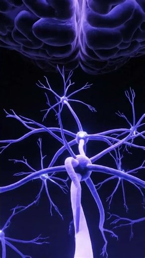 Inside Your Brain Stunning 3D Neuron Firing in Real Time! Unreal Detail