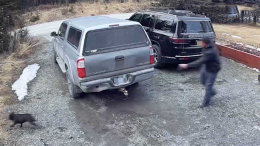 Daily Darwin: Wednesday, February 4, 2026