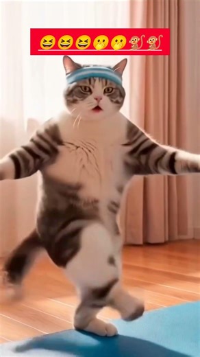 #cat #funny #funnycartoo #funnyjokes #comedy #cartton #comedyjokes #jokes #cartoon