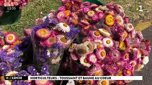 Recueillement dans les cimetières pour la Toussaint. Les vendeurs de fleurs sont mobilisés partout dans l’île. | Réunion la 1ère