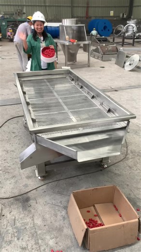 304/316 Stainless Steel Linear Vibrating Screen Features