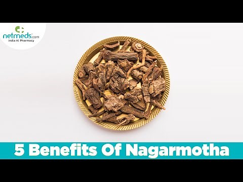 5 Benefits Of Nagarmotha