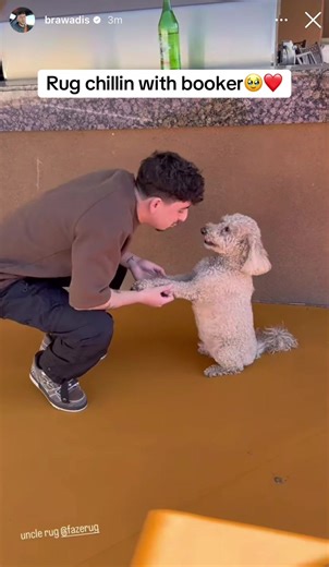 #brawadis #booker #fazerug #dog #fyp | dog