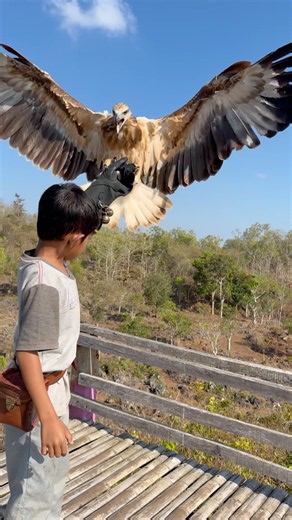 The eagle king maneuvered above the sky when he landed on the tarzan boy