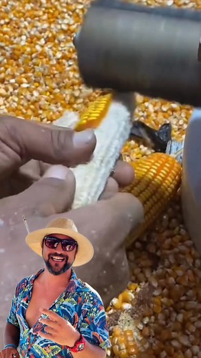 Masinarie de curatat porumbul automata | Guvid