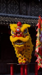 39K views · 288 reactions | It's a tradition with pride! 13-year-old Zhang Zhenhao and his lion-dancing buddies practice 3 times a week to revive the Qiantong ancient town's lion dance routines, and they do it with pride! #Talent | China Plus Culture | Facebook