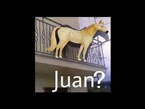 Hilos con cheems Temporada 16 | Unos Hilos mas