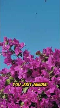 FROM AGE 16–65 KNOW THIS NOW! | The Truth You Must Learn Early