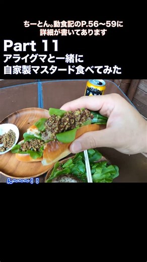 ちーとん。(Chieeton) YouTuber on Instagram: "Part 11 アライグマと一緒に自家製マスタードを食べてみた！プロフィールから【ちーとん。動食記】もよろしくお願いします！#ちーとん #ちーとん動食記 #カラシナ #自家製マスタード #マスタード #マスタードシード #アライグマ #アライグマ肉 #holidayfood #holidaymeals"
